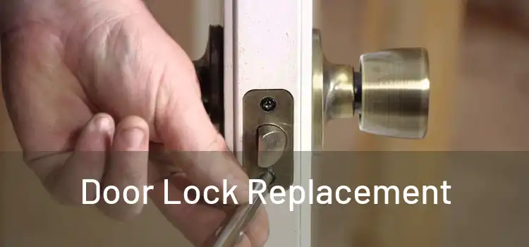  Door Lock Replacement 